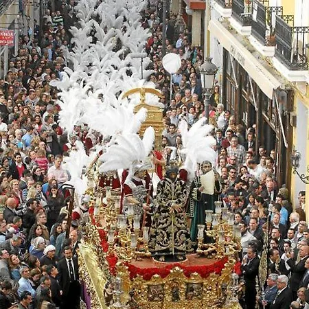 Sentencia Sevilla